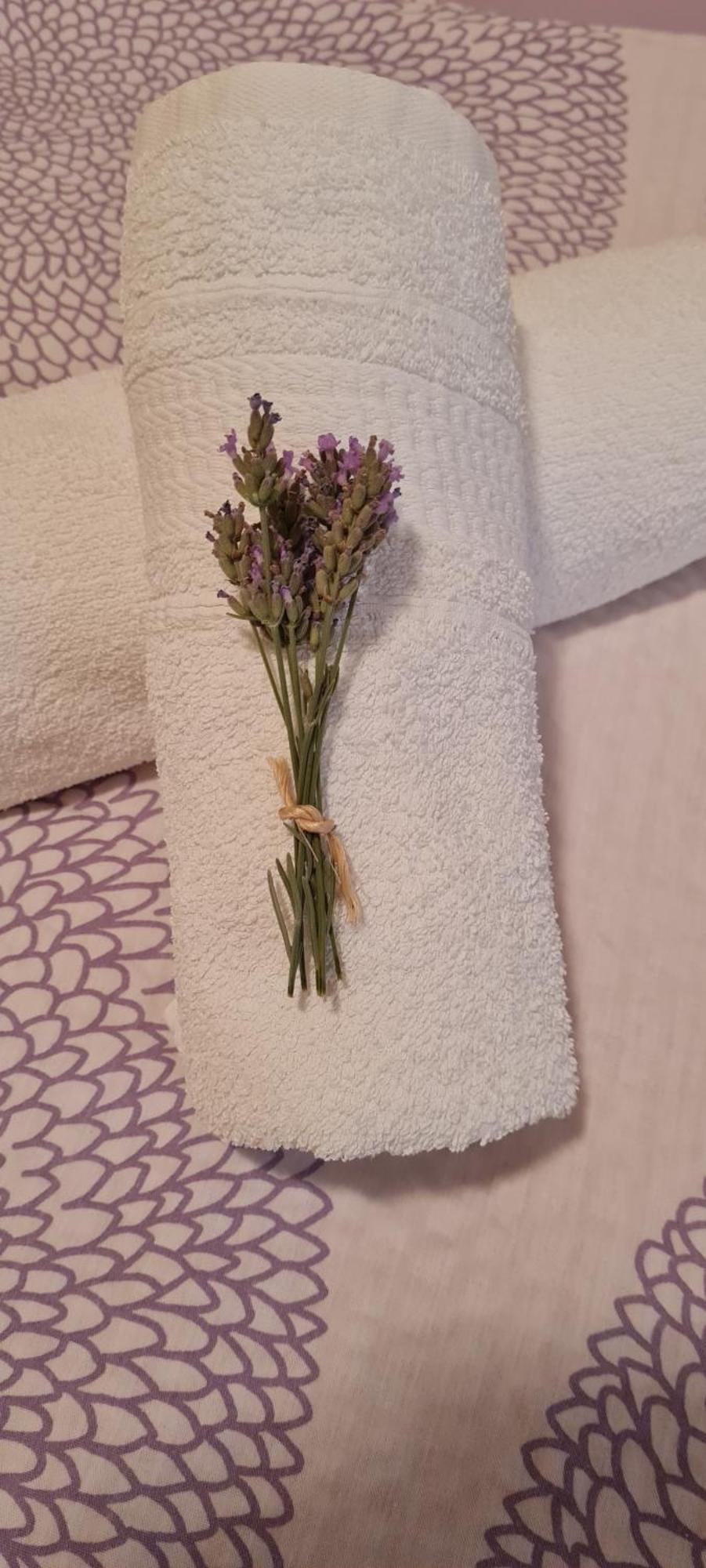 Apartment Lavanda 斯塔利格拉德-帕克利尼卡 外观 照片